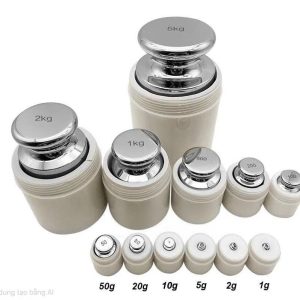 Quả cân chuẩn M1-F1